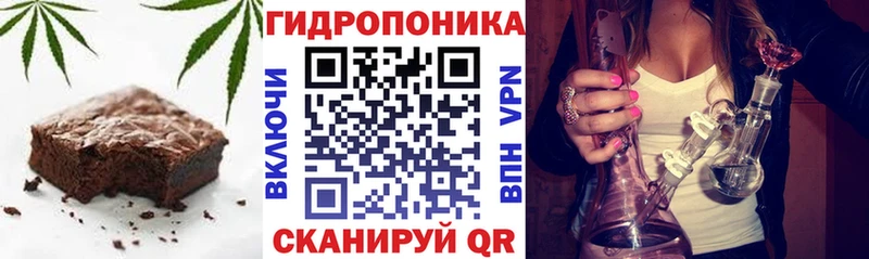 цены наркотик  Жирновск  мега ссылка  Canna-Cookies марихуана 