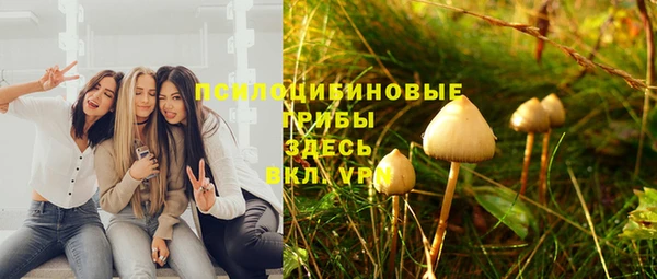мяу мяу кристалл Гусиноозёрск