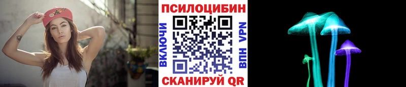 Псилоцибиновые грибы Psilocybine cubensis  hydra ТОР  Жирновск 
